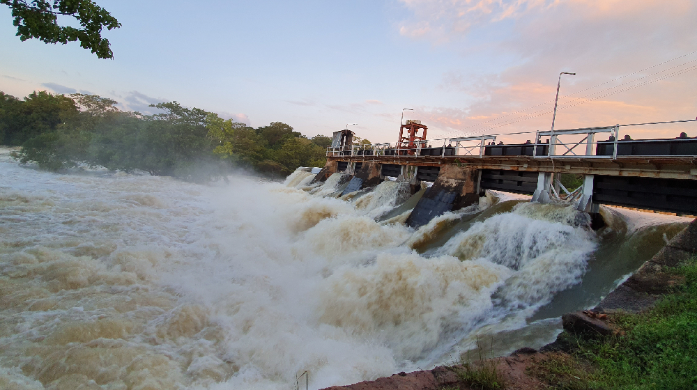 නාච්චදූව ජලාශයේ වාන් දොරටු හයම විවෘත කරයි නාච්චදූව ජලාශයේ වාන් දොරටු හයම විවෘත කරයි