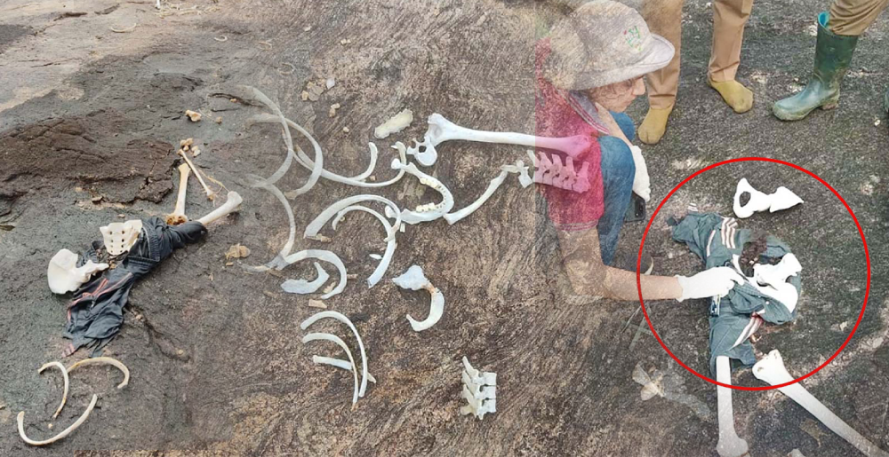 යාල රක්ෂිතයේදී හමුවූ මිනිස් ඇටසැකිල්ල වැඩිදුර පරීක්ෂණ සඳහා යොමුකෙරේ යාල රක්ෂිතයේදී හමුවූ මිනිස් ඇටසැකිල්ල වැඩිදුර පරීක්ෂණ සඳහා යොමුකෙරේ