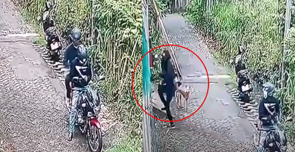 දෙවිනුවර – තල්පාවිල ප්රදේශයේ වෙඩි තැබීමක් දෙවිනුවර – තල්පාවිල ප්රදේශයේ වෙඩි තැබීමක්