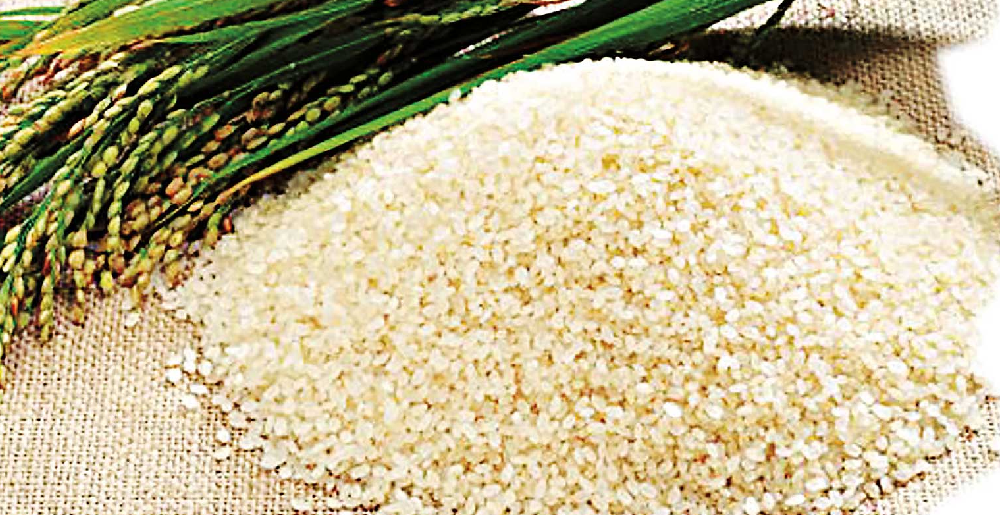 සහල් ආනයනය කිරීමේ කාලය දීර්ඝ නොවේ සහල් ආනයනය කිරීමේ කාලය දීර්ඝ නොවේ