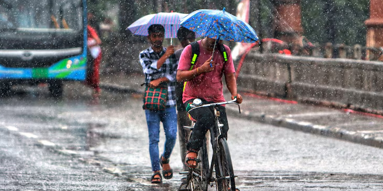 පස්වරුවේ තැනින් තැන වැසි හෝ ගිගුරුම් සහිත වැසි පස්වරුවේ තැනින් තැන වැසි හෝ ගිගුරුම් සහිත වැසි