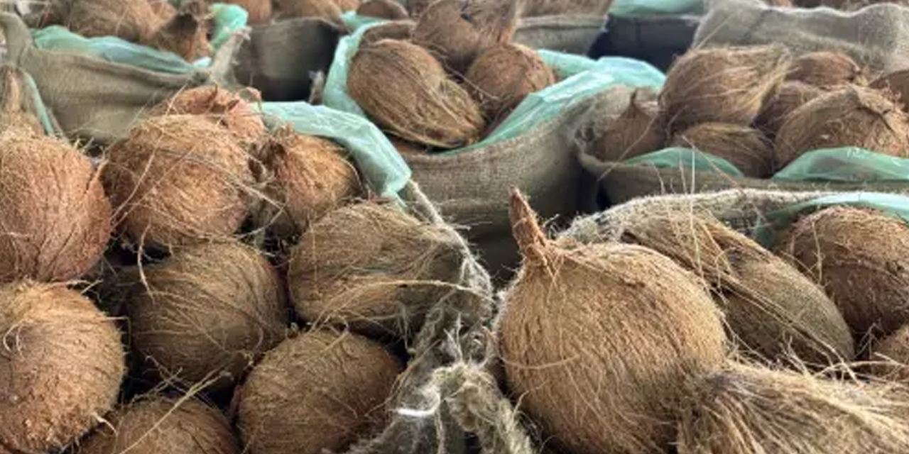 පොල් වෙන්දේ‌සියේදී මිල පහළට